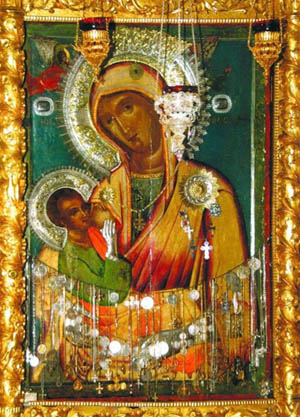 Икона Млекопитатељница